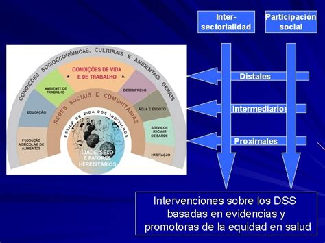 Determinantes Sociais Da Sade Na Formao Em Sade