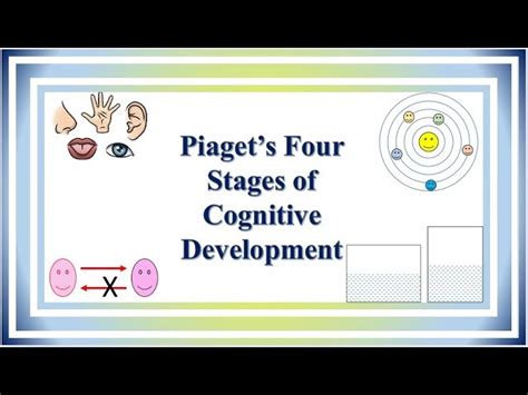 Jean Piaget Cognitive Development Four Stages On Sale Ladorrego Ar