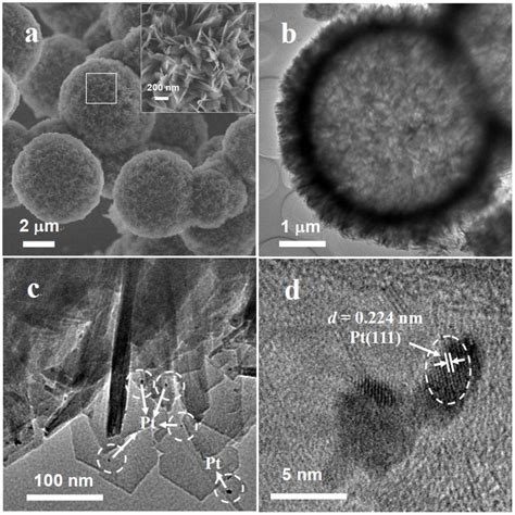 Structural characterization of Pt γAl2O3 SEM a high magnification