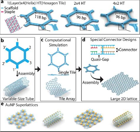 Figure From Programming Self Assembly Of Dna Origami Honeycomb Two