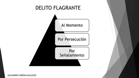 Etapa De Audiencia Inicial