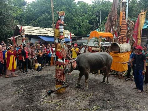 5 Upacara Adat Suku Dayak Yang Masih Dilakukan - Sering Jalan