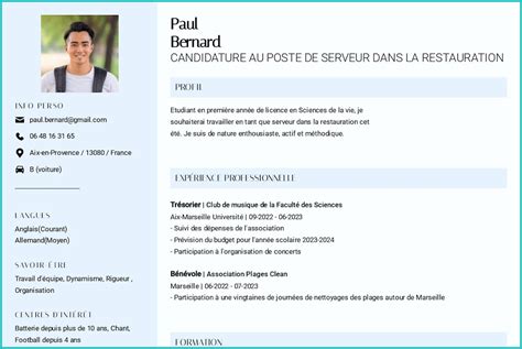 Cv Pour Un Job D T Conseils Et Exemple Gratuit T L Charger