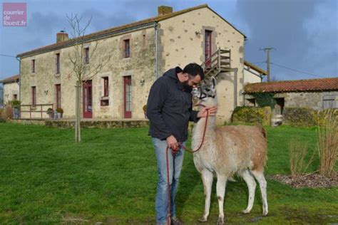 S Vremoine Torfou La Riche Premi Re Ann E Dactivit S De Brin De