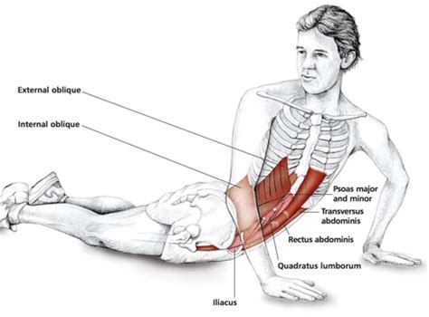 45+ Transverse abdominis stretch home | extremeabsworkout