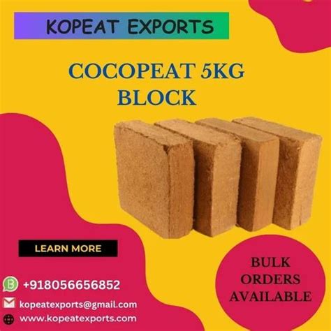 Brown Cubical Low Ec Unseived Coco Peat Brick Packaging Type Box