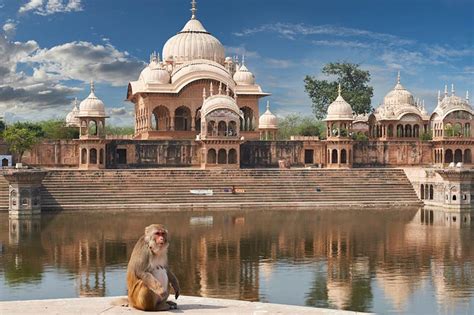 Delhi Mathura Vrindavan Tour One Day Delhi To Mathura And Vrindavan Trip