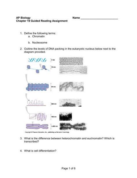 Page Of Ap Biology Name Chapter Guided Reading