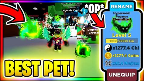 I GOT THE NEW BEST RAREST PET IN NINJA LEGENDS OP Roblox YouTube