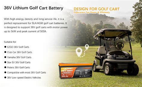 Enjoybot 36v 100ah Lifepo4 Lithium Golf Cart Battery Conversion Kit Built In 100a