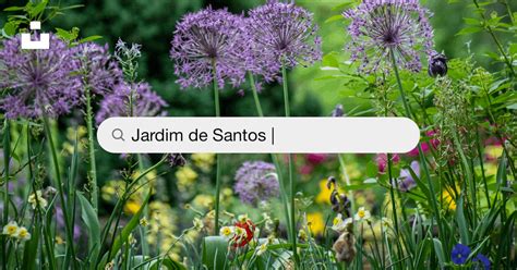 Jardim De Todos Os Santos - Imagens de Jardim De Santos | | Baixe imagens gratuitas na Unsplash