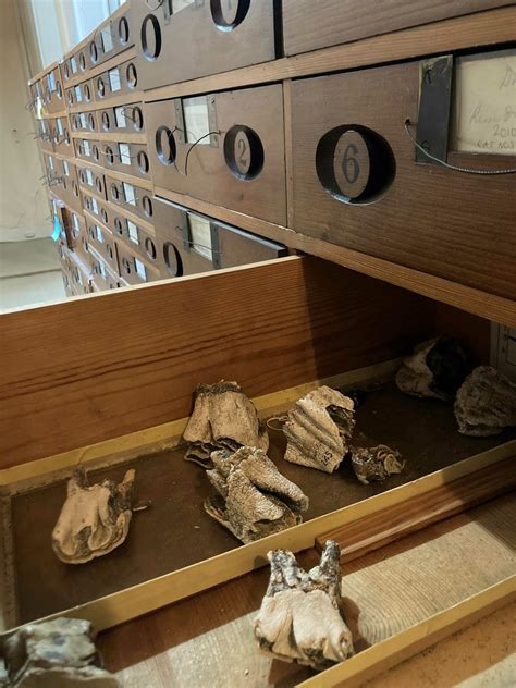 Uncovering the Stories Behind Recent Salisbury Obituaries: A Look at Lives Lived 8