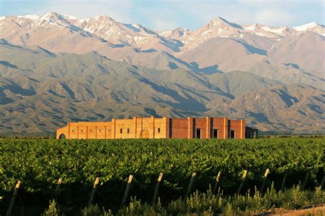 Vinícolas para visitar em Mendoza na Argentina