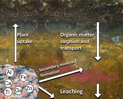 Soil Biogeochemistry|Soil metal biogeochemistry