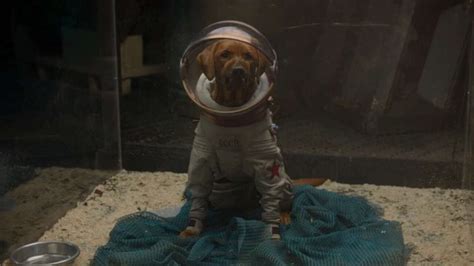 Who Is Cosmo The Spacedog? — CultureSlate