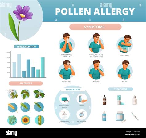 Pollen Allergy Symptoms Prevention Treatment Concentration And Allergens Infographics In Cartoon