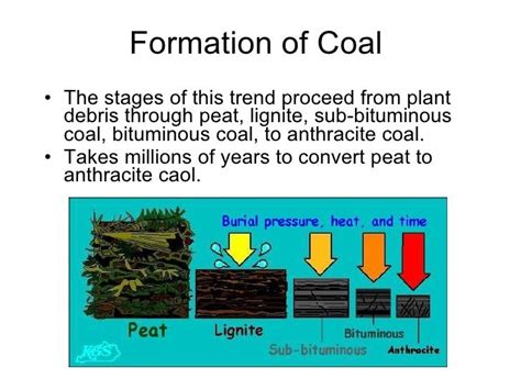 Coal