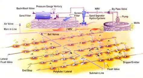 Proper and Professional Drip Irrigation System Design