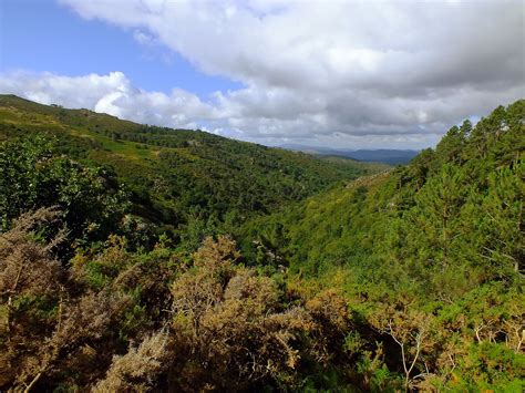 Bildet landskap tre natur skog villmark gå fjell Sky sti