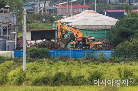 연천까지 뚫린 돼지열병삼겹살 가격 벌써부터 급등종합 네이트 뉴스