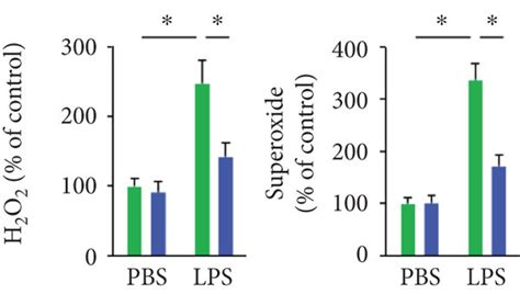 MiR 23a 5p Antagomir Blocks LPS Induced Inflammation And Oxidative