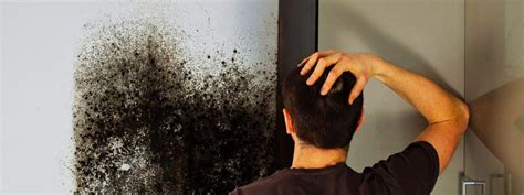 Mold Damage Insurance Claims In Florida Peninsula Public Adjuster