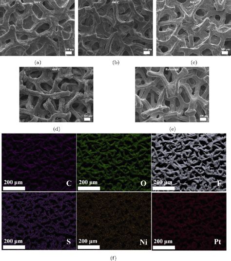 Scanning Electron Microscope Sem Images Of The Pt Ptfe Electrodes