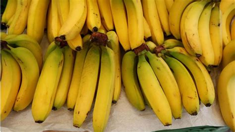 Cientistas Criam Banana Que Pode Salvar A Vida De Crian As Subnutridas