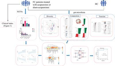 Frontiers Effects Of Acupuncture On Gut Microbiota And Short Chain