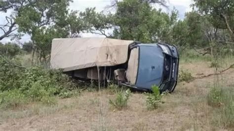 Un Elefante Provocó La Muerte De Una Mujer Que Iba En Un Safari El