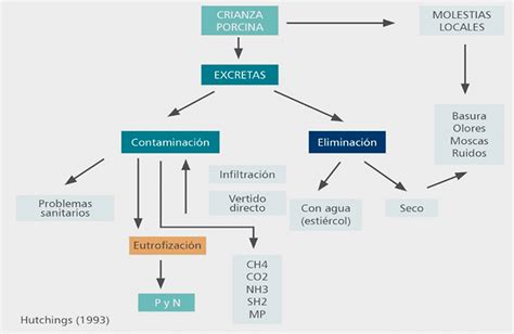 Gesti N De Residuos De Granjas Porcinas Bm Editores