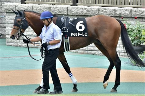 🏃🏾菊花賞（g1）出走ラインじわり上昇ジャックドール弟ら「除外危機」に直面も スレッド閲覧｜爆サイcom四国版