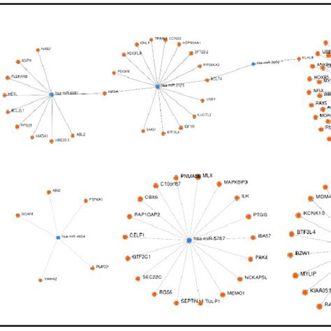 The Node Graphs Of Some Dysregulated Mirna Target Gene Interaction