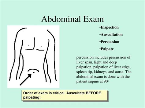 Ppt Abdominal Exam Powerpoint Presentation Free Download Id1184734