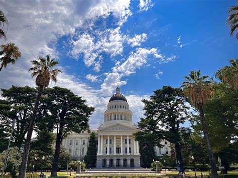 Know Your Rights - English Virtual Workshop | Prepare and protect