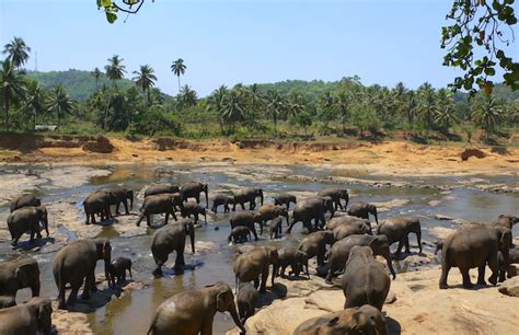 9 Most Beautiful Provinces In Sri Lanka Touropia Travel