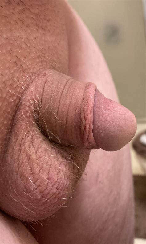 Fully Erect Penis Freakden