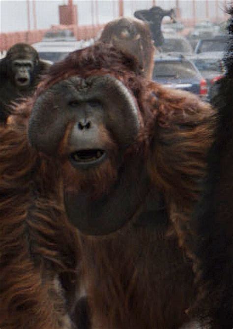 Maurice Rise Of The Planet Of The Apes Non Alien Creatures Wiki