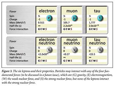 Subatomic Particles, Part 1: Leptons | The Institute for Creation Research