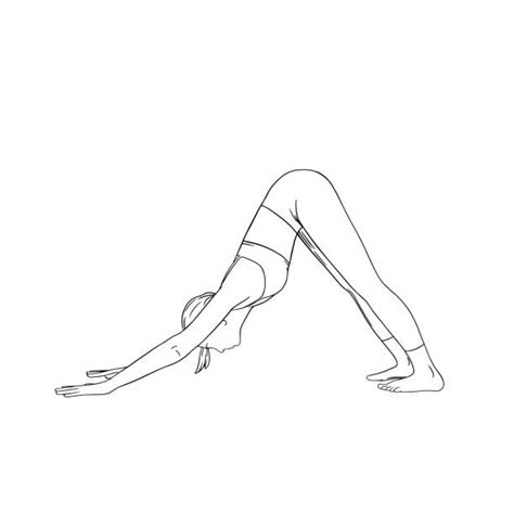 Downward Facing Dog Position Illustrations Royalty Free Vector