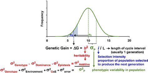 The Genetic Gain Equation And Its Component Variables The Top Portion