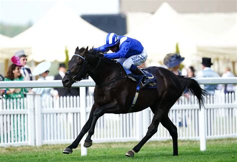 Qipco British Champions Day Final Fields Revealed And Quotes