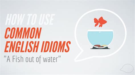 How To Use Common English Idioms A Fish Out Of Water YouTube