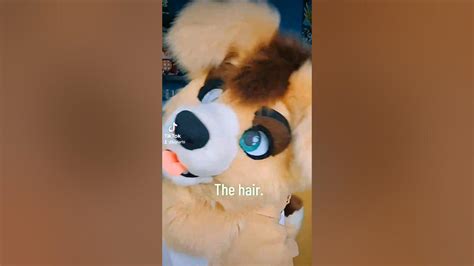 All The Hair💚💜 Furry Fursuit Fursuiter Fursuiting Positivevibes Costume Furries Cute