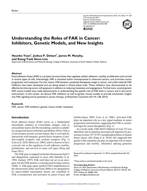 Pdf Understanding The Roles Of Fak In Cancer