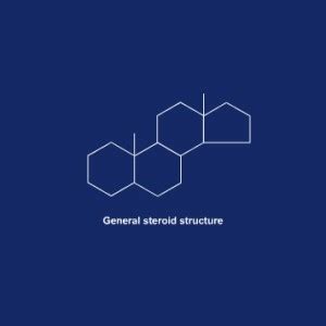 Steroid Chemistry At A Glance