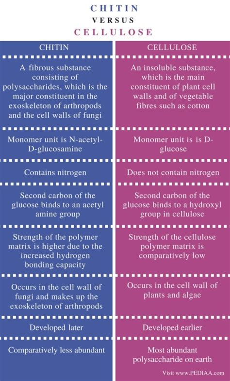 Difference Between Chitin and Cellulose - Pediaa.Com