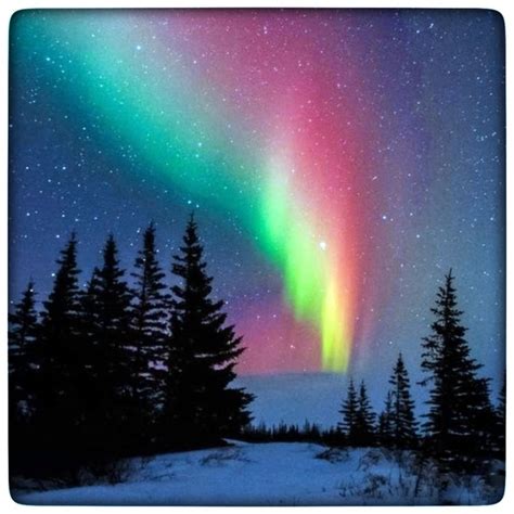 Медный Лес - авторские украшения | ВКонтакте