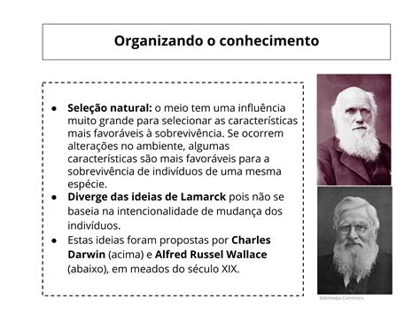 Plano De Aula 9o Ano Ideias Evolutivas Darwin E Wallace