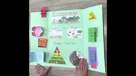 Lapbook La Biodiversidad YouTube